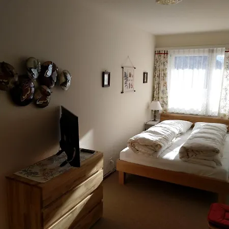 Tschal 10 Apartmán Leukerbad